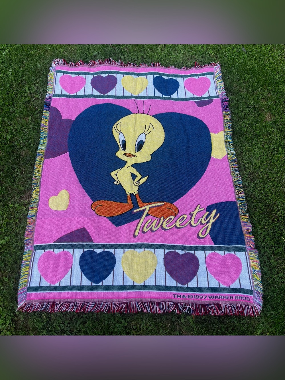 Vintage 1997 Warner Bros. ‘Tweety Bird’ Fringe Heart Blanket